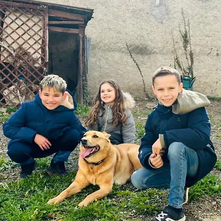 Daire Appt 1er Etage Avec Jardin Partage *